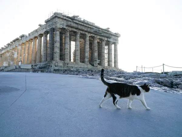 Η Ακρόπολη