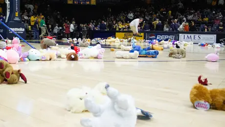 teddy-bear toss