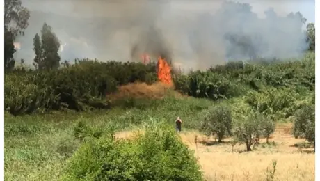 Φωτιά στη Σπάρτη