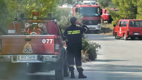 Πυροσβεστική σε δάσος